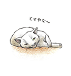 自由な猫達（個別スタンプ：8）