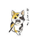自由な猫達（個別スタンプ：14）