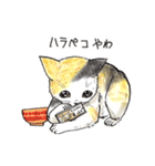 自由な猫達（個別スタンプ：16）