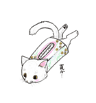 自由な猫達（個別スタンプ：19）
