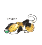 自由な猫達（個別スタンプ：20）