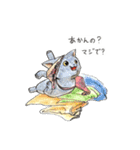 自由な猫達（個別スタンプ：21）