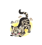 自由な猫達（個別スタンプ：24）