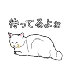 ネコへんじ 04（個別スタンプ：3）