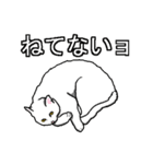 ネコへんじ 04（個別スタンプ：11）
