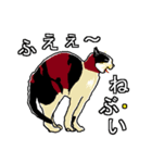 ネコへんじ 04（個別スタンプ：13）