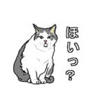 ネコへんじ 04（個別スタンプ：16）