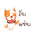 Sugar american pitbull（個別スタンプ：2）