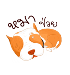 Sugar american pitbull（個別スタンプ：5）