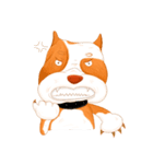 Sugar american pitbull（個別スタンプ：10）