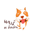 Sugar american pitbull（個別スタンプ：11）