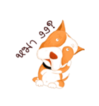 Sugar american pitbull（個別スタンプ：16）