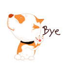 Sugar american pitbull（個別スタンプ：17）