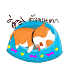 Sugar american pitbull（個別スタンプ：18）