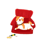 Sugar american pitbull（個別スタンプ：20）
