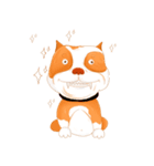 Sugar american pitbull（個別スタンプ：23）