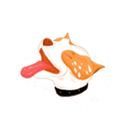Sugar american pitbull（個別スタンプ：25）
