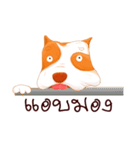Sugar american pitbull（個別スタンプ：27）