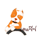 Sugar american pitbull（個別スタンプ：29）
