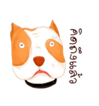 Sugar american pitbull（個別スタンプ：33）