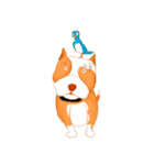 Sugar american pitbull（個別スタンプ：34）