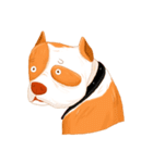 Sugar american pitbull（個別スタンプ：35）