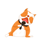 Sugar american pitbull（個別スタンプ：39）