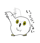 ふくろうず（個別スタンプ：34）