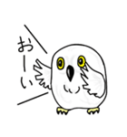 ふくろうず（個別スタンプ：36）