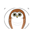 The cute owl（個別スタンプ：4）