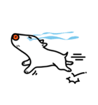 Doggy Sir（個別スタンプ：16）