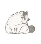Cats don't talk（個別スタンプ：1）