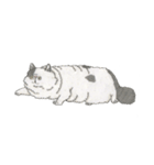 Cats don't talk（個別スタンプ：2）