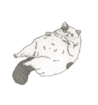 Cats don't talk（個別スタンプ：4）