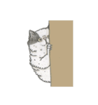 Cats don't talk（個別スタンプ：9）