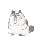 Cats don't talk（個別スタンプ：10）