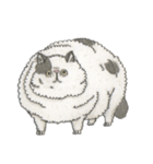 Cats don't talk（個別スタンプ：16）