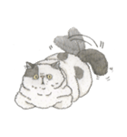 Cats don't talk（個別スタンプ：19）