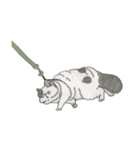 Cats don't talk（個別スタンプ：20）