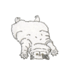 Cats don't talk（個別スタンプ：21）
