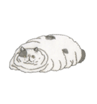 Cats don't talk（個別スタンプ：23）