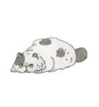 Cats don't talk（個別スタンプ：26）