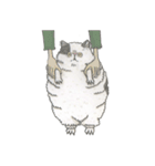 Cats don't talk（個別スタンプ：29）