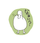 鳥のスタンプ（個別スタンプ：12）