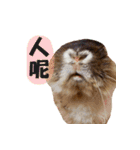 OH！CHARLIE（個別スタンプ：3）