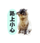 OH！CHARLIE（個別スタンプ：4）