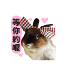 OH！CHARLIE（個別スタンプ：7）