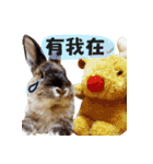 OH！CHARLIE（個別スタンプ：8）