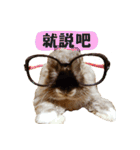 OH！CHARLIE（個別スタンプ：11）