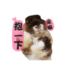 OH！CHARLIE（個別スタンプ：14）